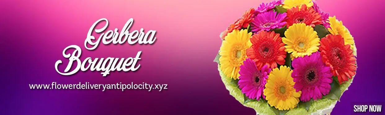 Affordable Carnation Flower Bouquets