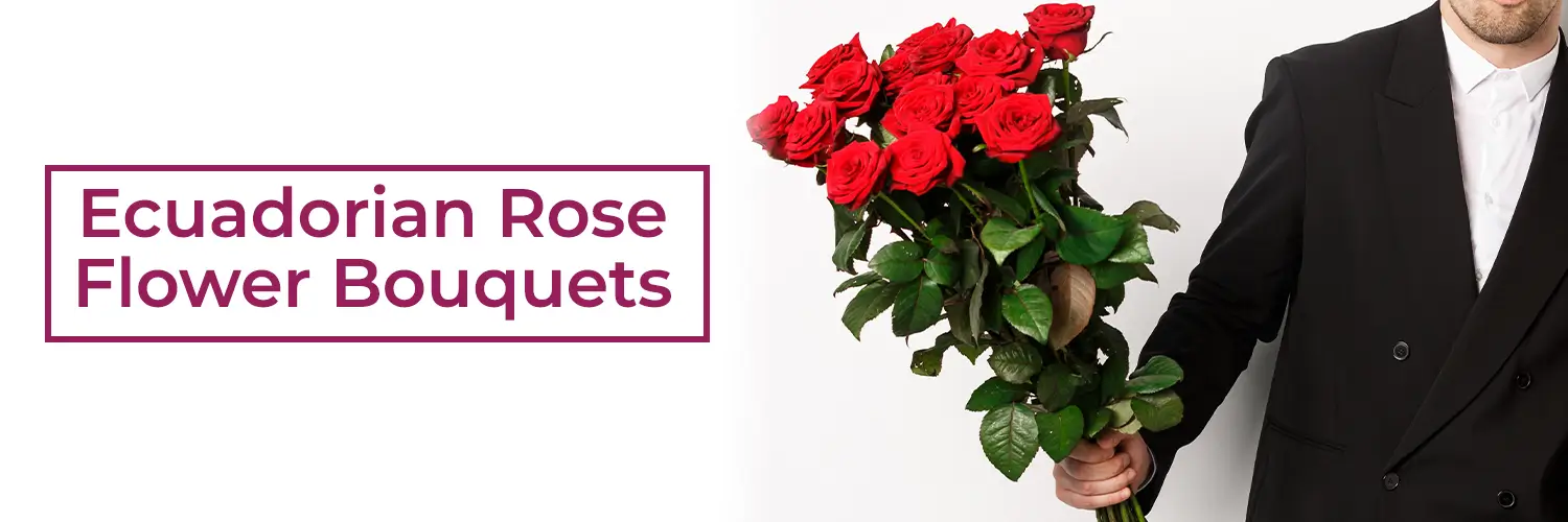 Ecuadorian Rose | Roses Bouquet | Imported Roses
