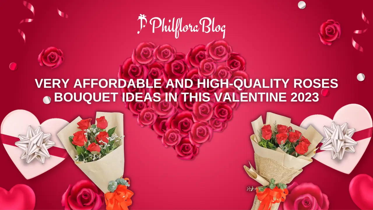 Very Affordable and High-Quality Roses Bouquet Ideas in This Valentine 2023