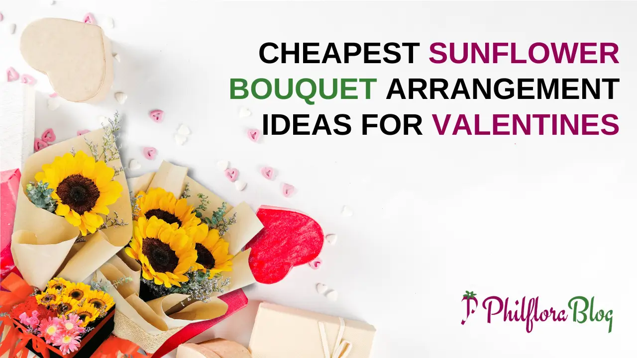 Cheapest Sunflower Bouquet Arrangement Ideas for Valentines