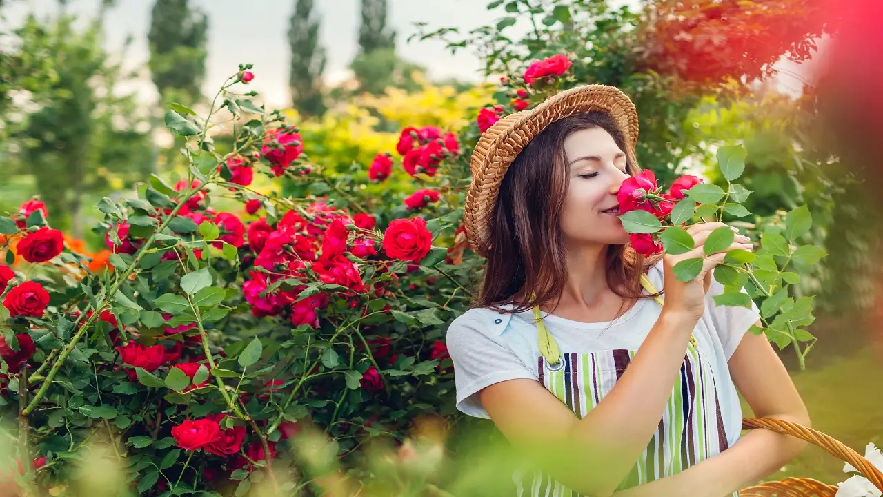 Ultimate Guide to Flower Symbolism: Exploring Various Flower Meanings