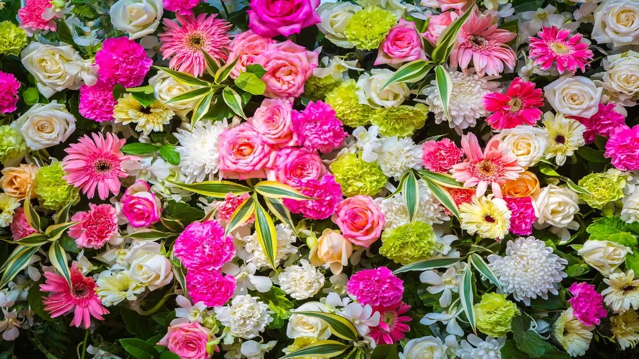 Explore Birth Flowers By Month and Its Symbolism