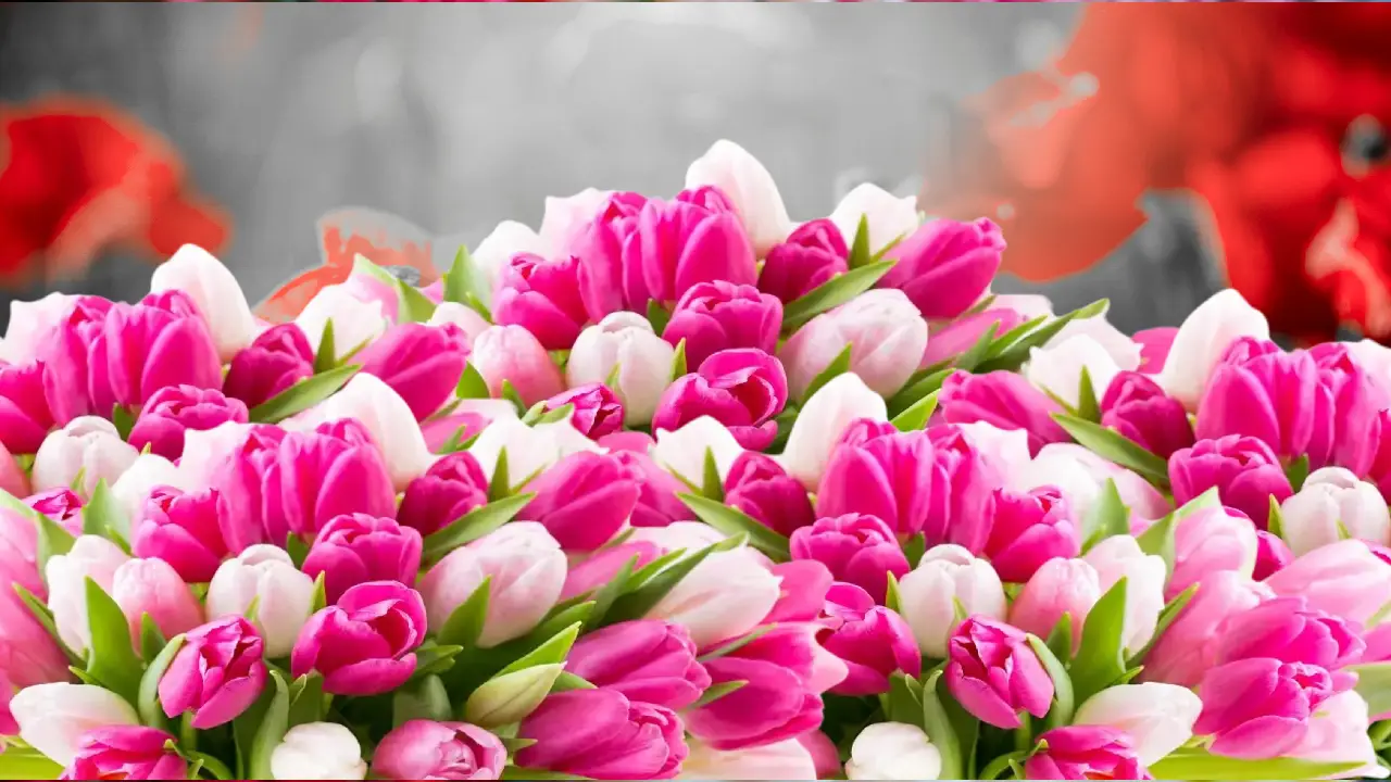 Top Wedding Anniversary Gifts For Couples In The Philippines