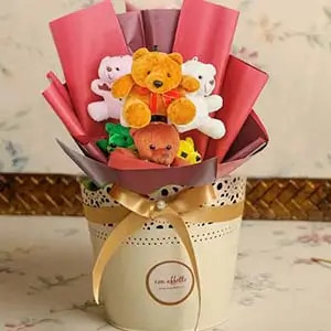No Teddy Bear Collections image