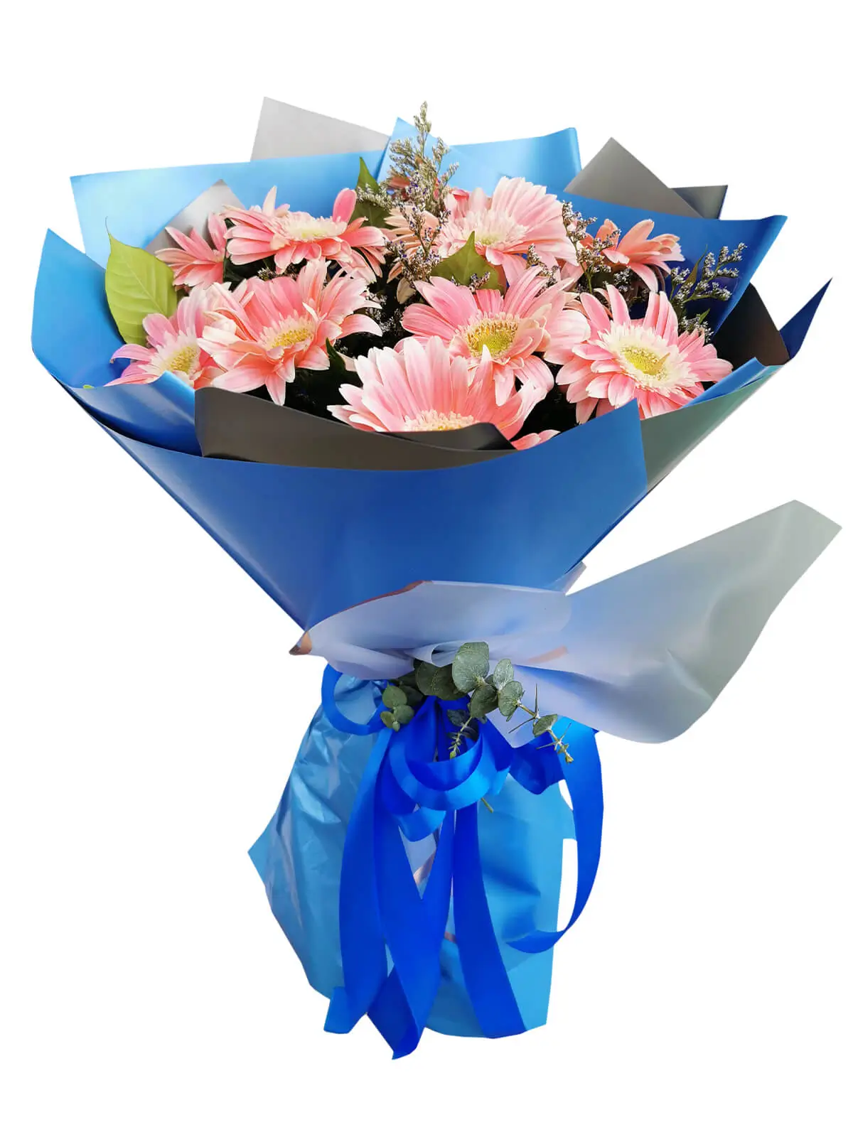10 PINK Gerbera Korean Blue Silver