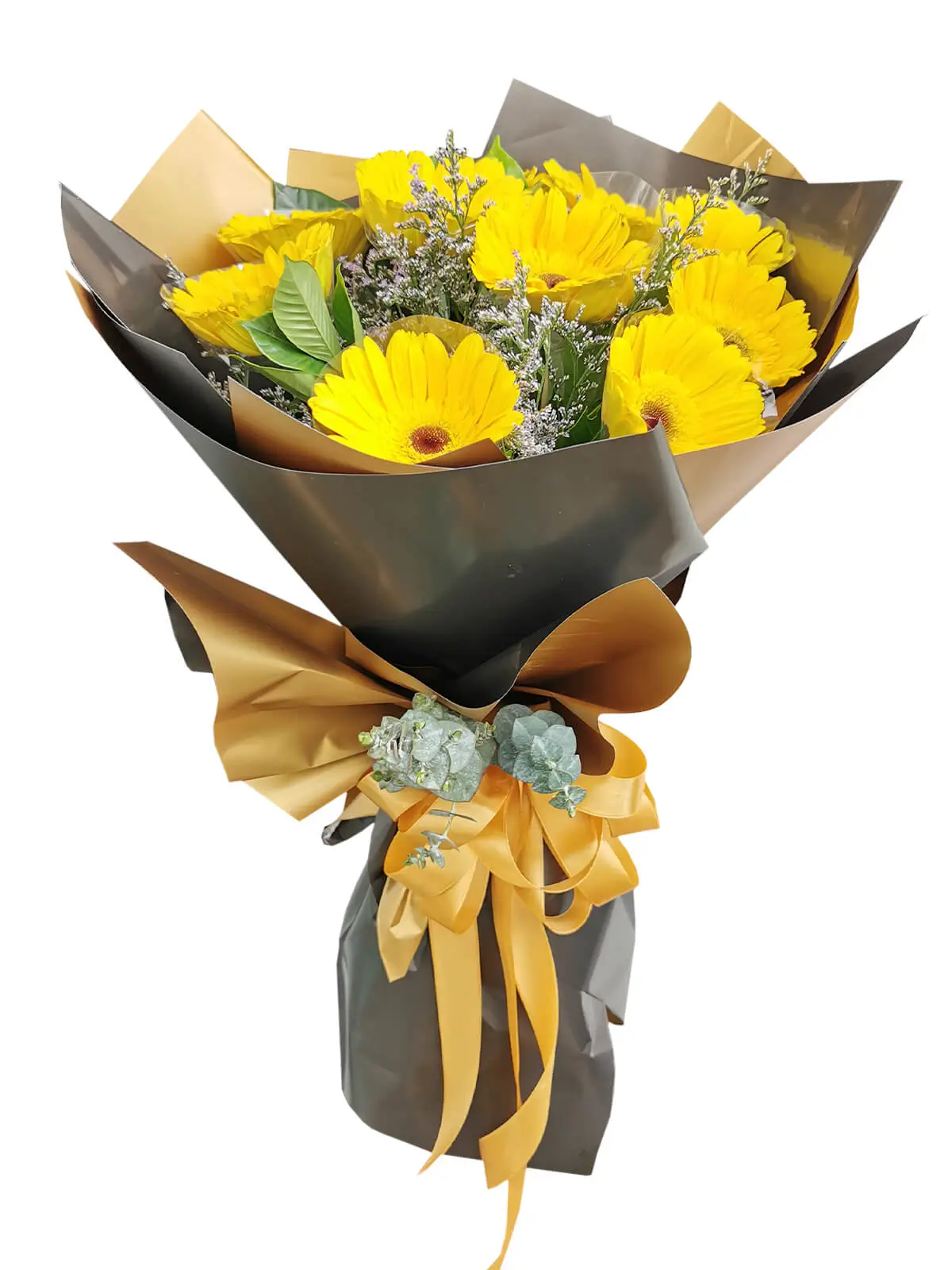 10 YELLOW Gerbera Korean Black Gold