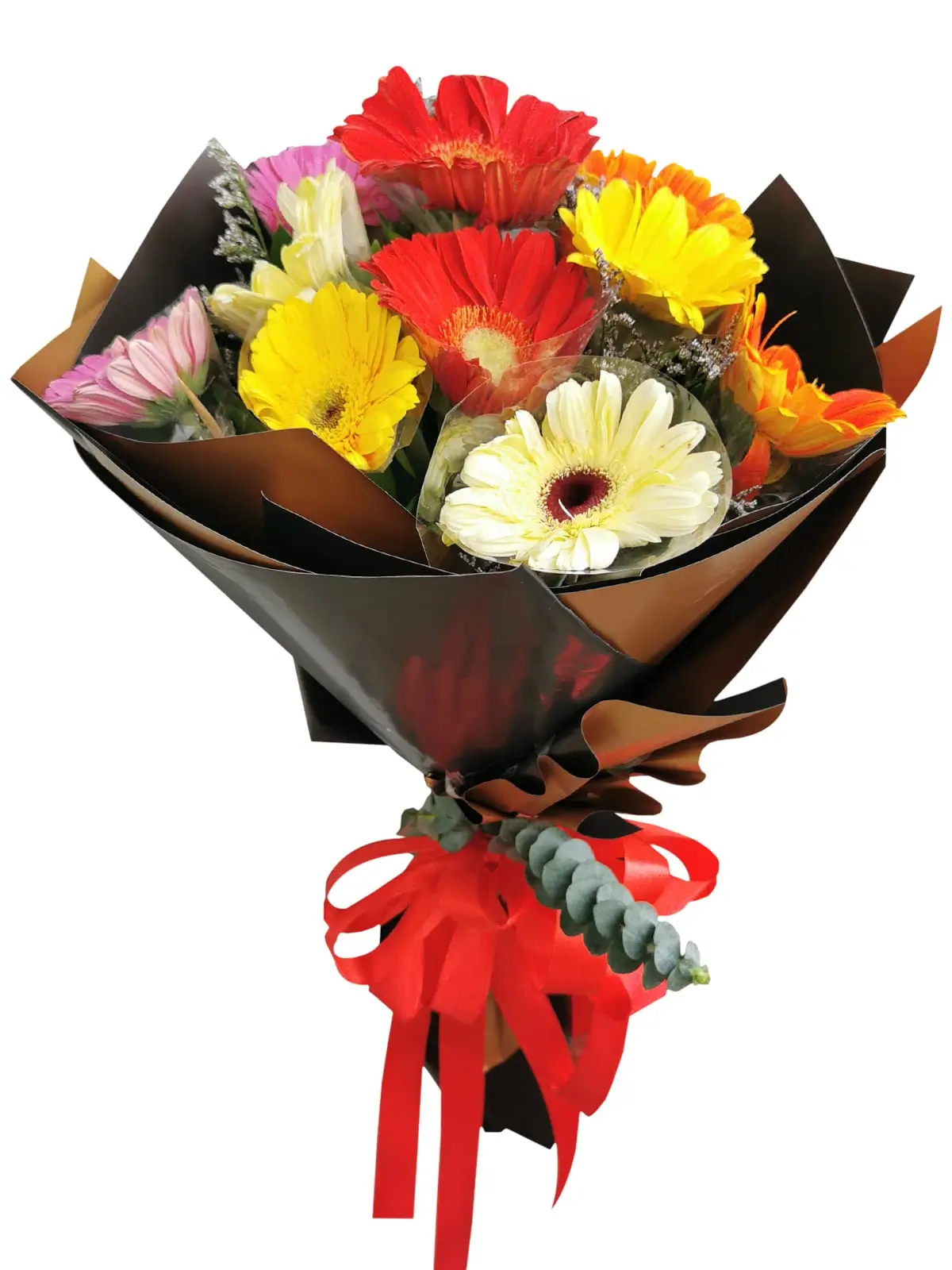 MIX Gerbera Korean Black Gold