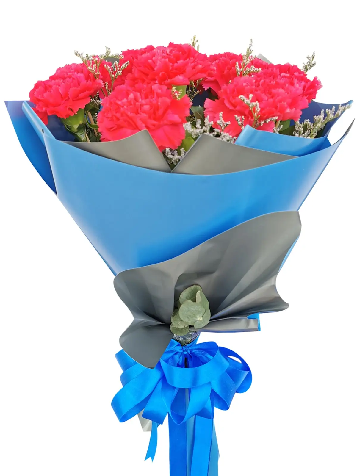 Carnation Fuchsia Pink Korean Blue Silver