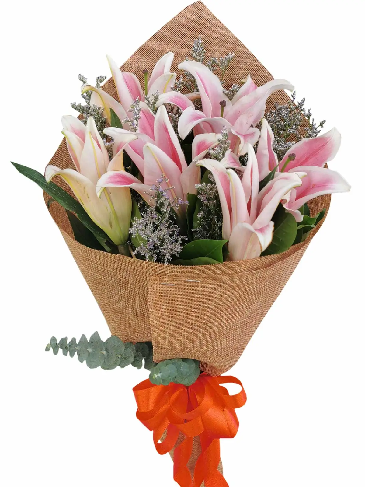 Pink Stargazer 6 Burlap CH