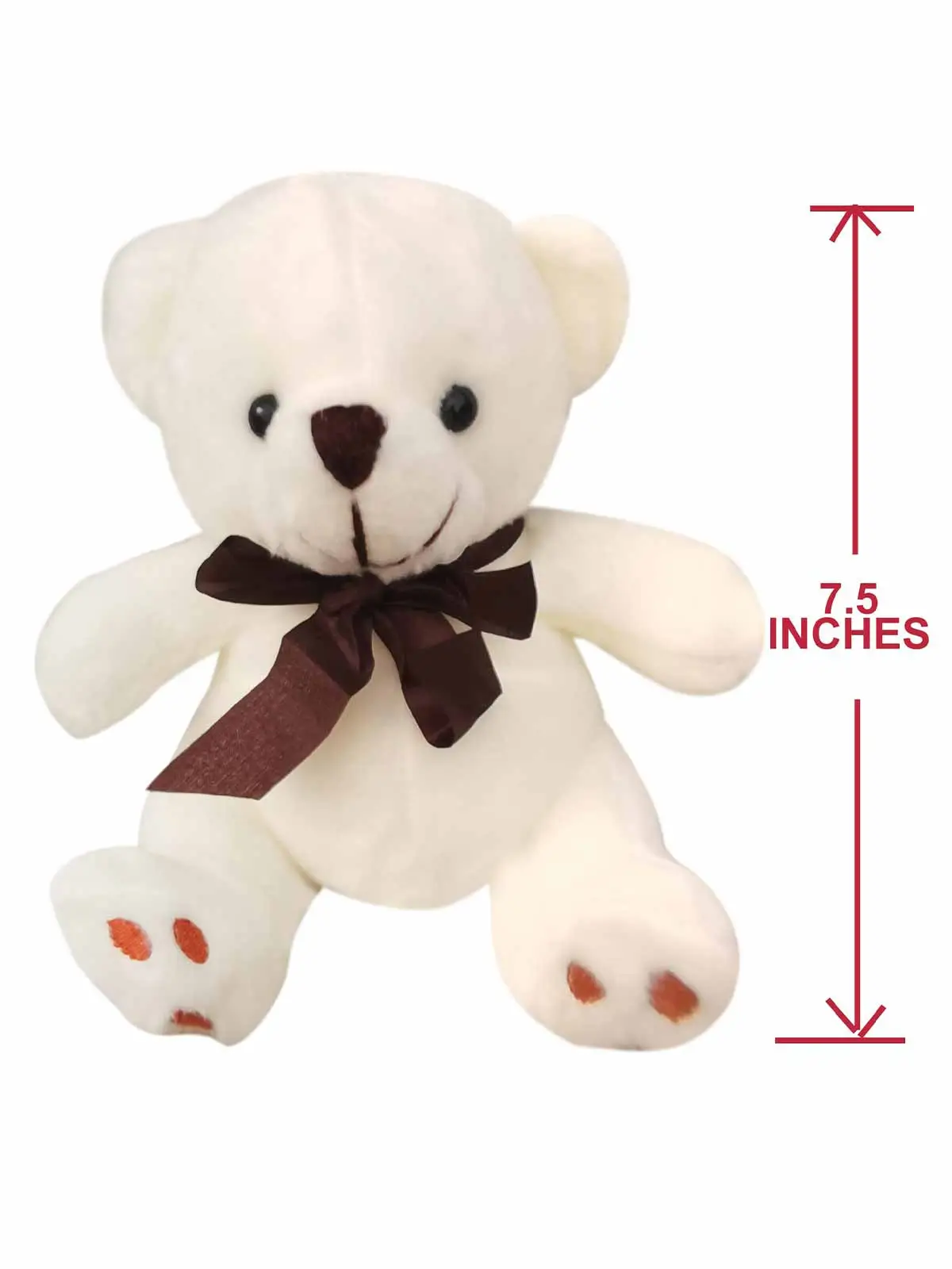 White Teddy Bear