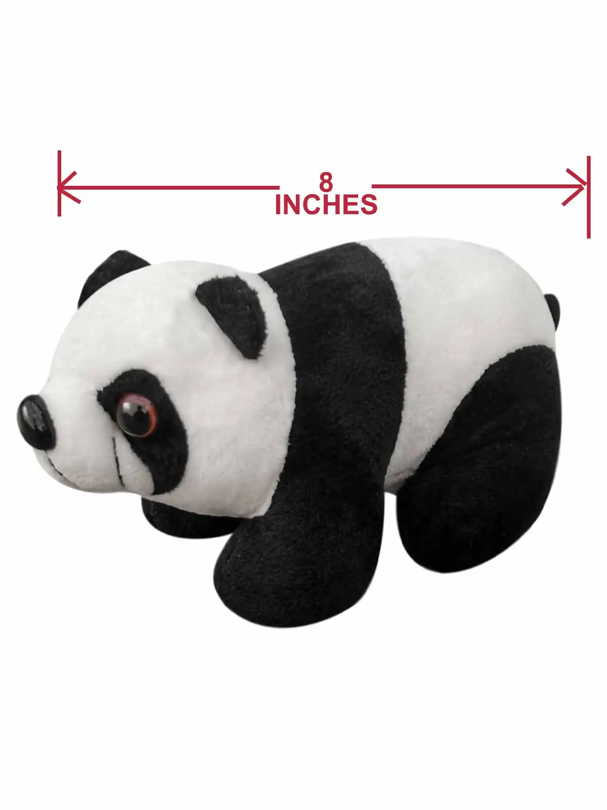 Panda Bear