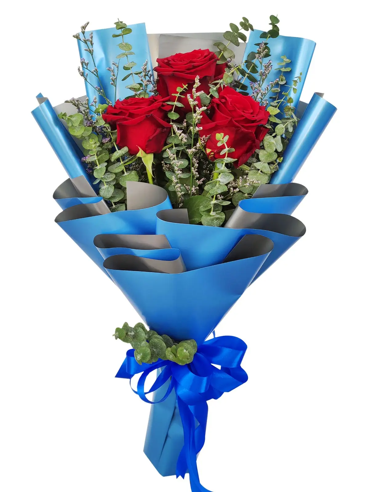 3 red ecua blue/silver