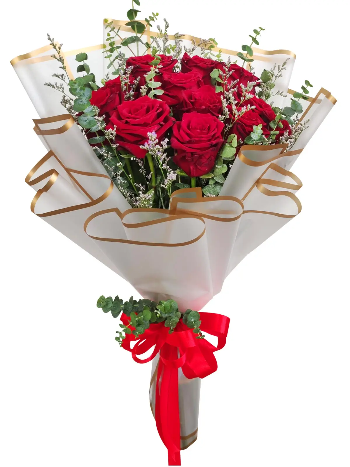 12 red ecua white