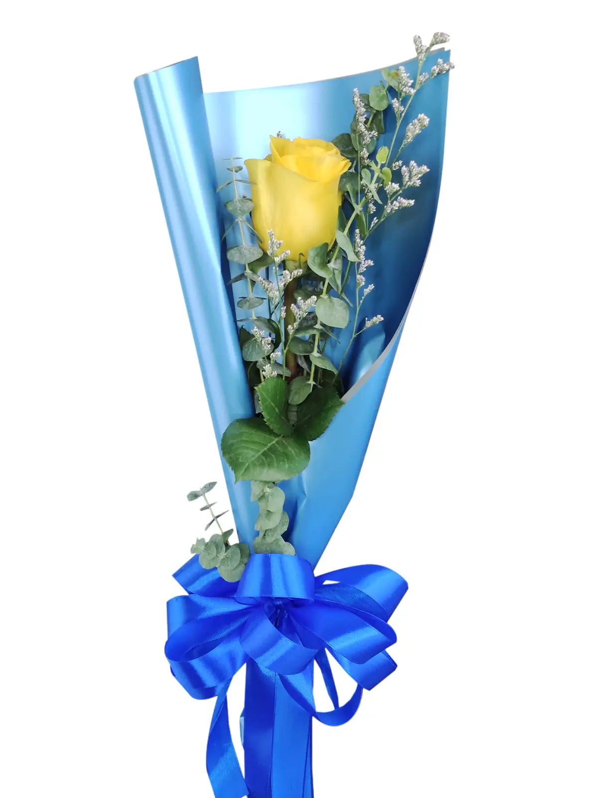 1 yellow ecua blue/silver