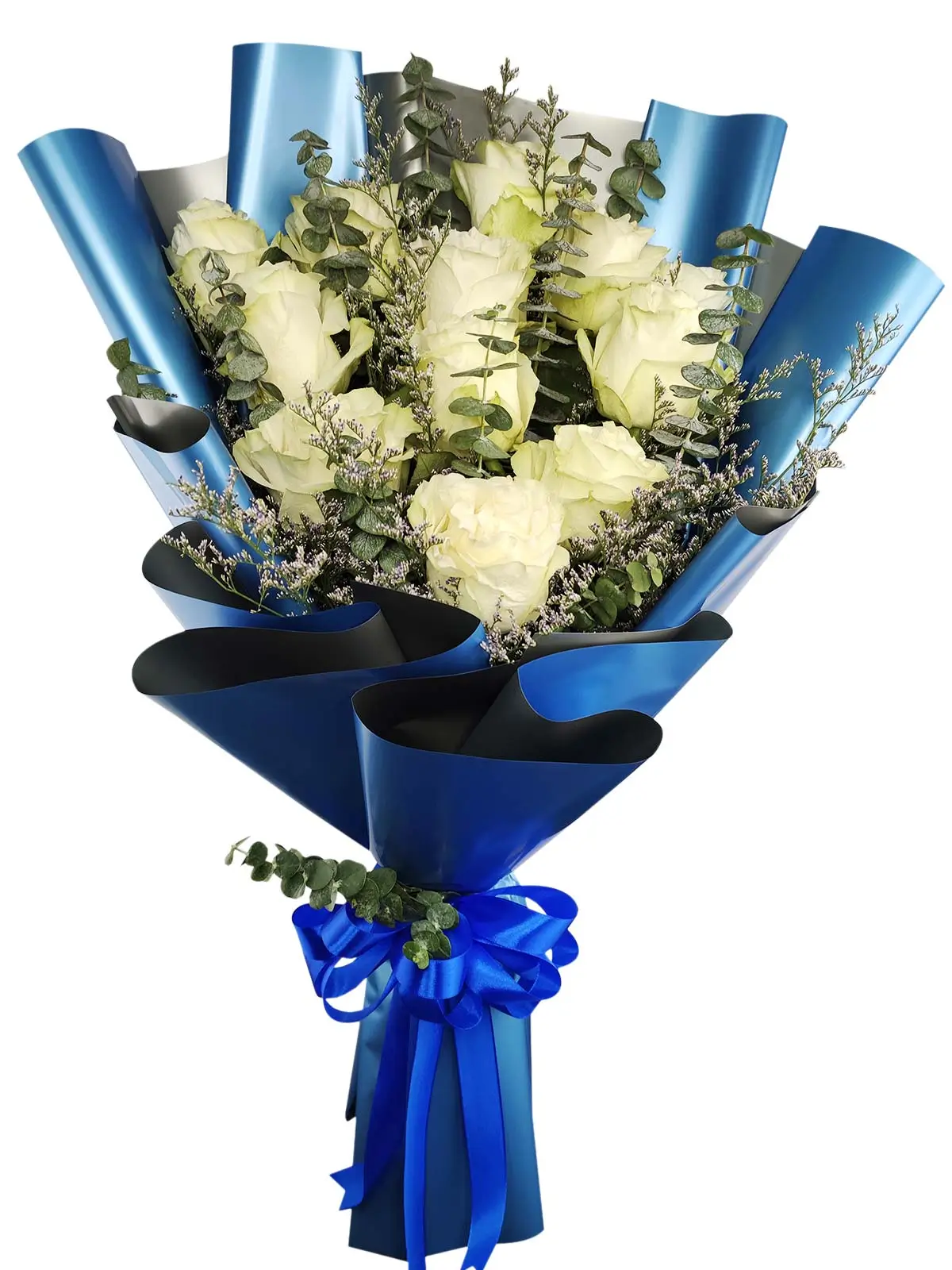 12 white ecua blue/silver
