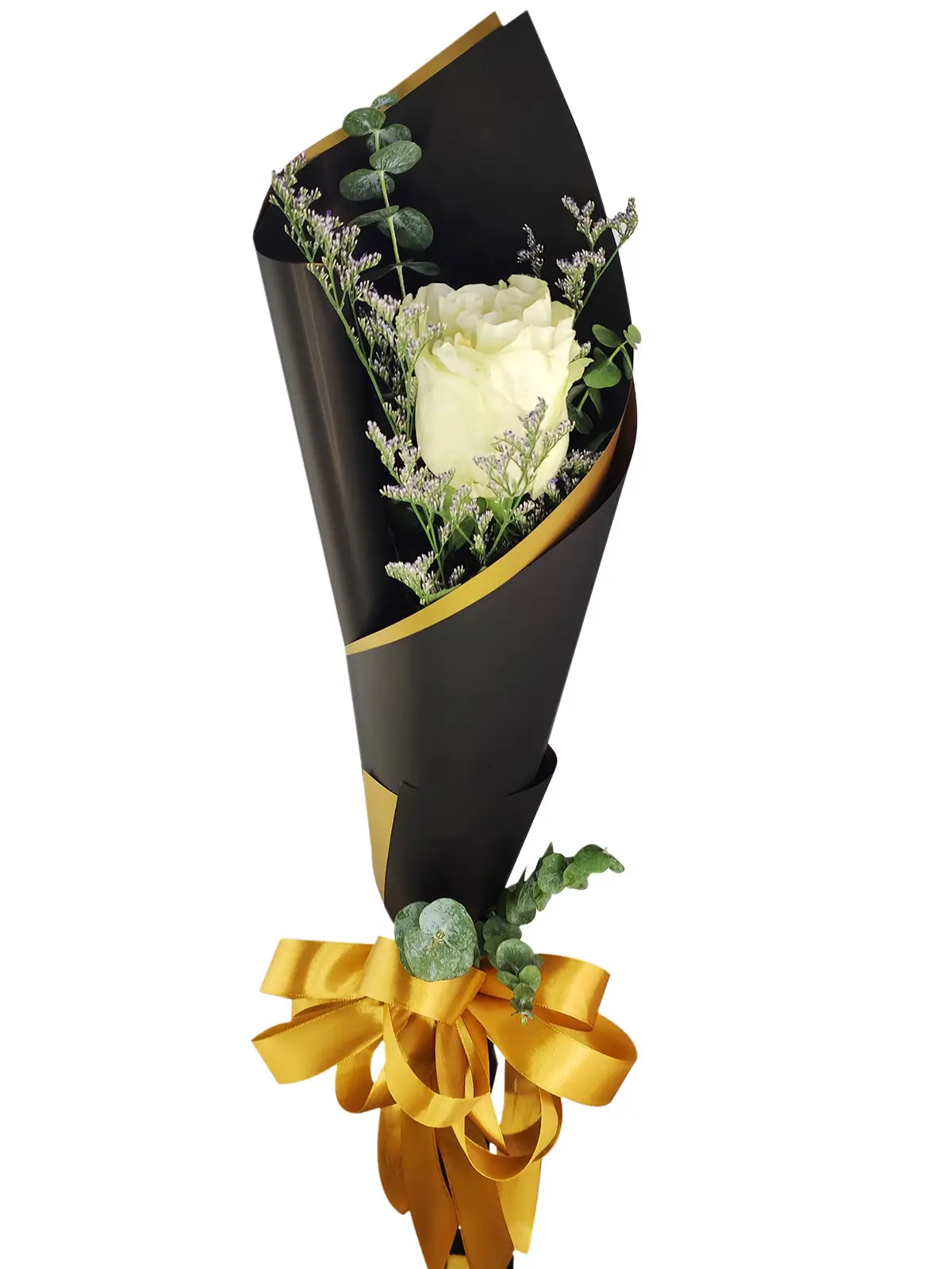 1 white ecua black/gold