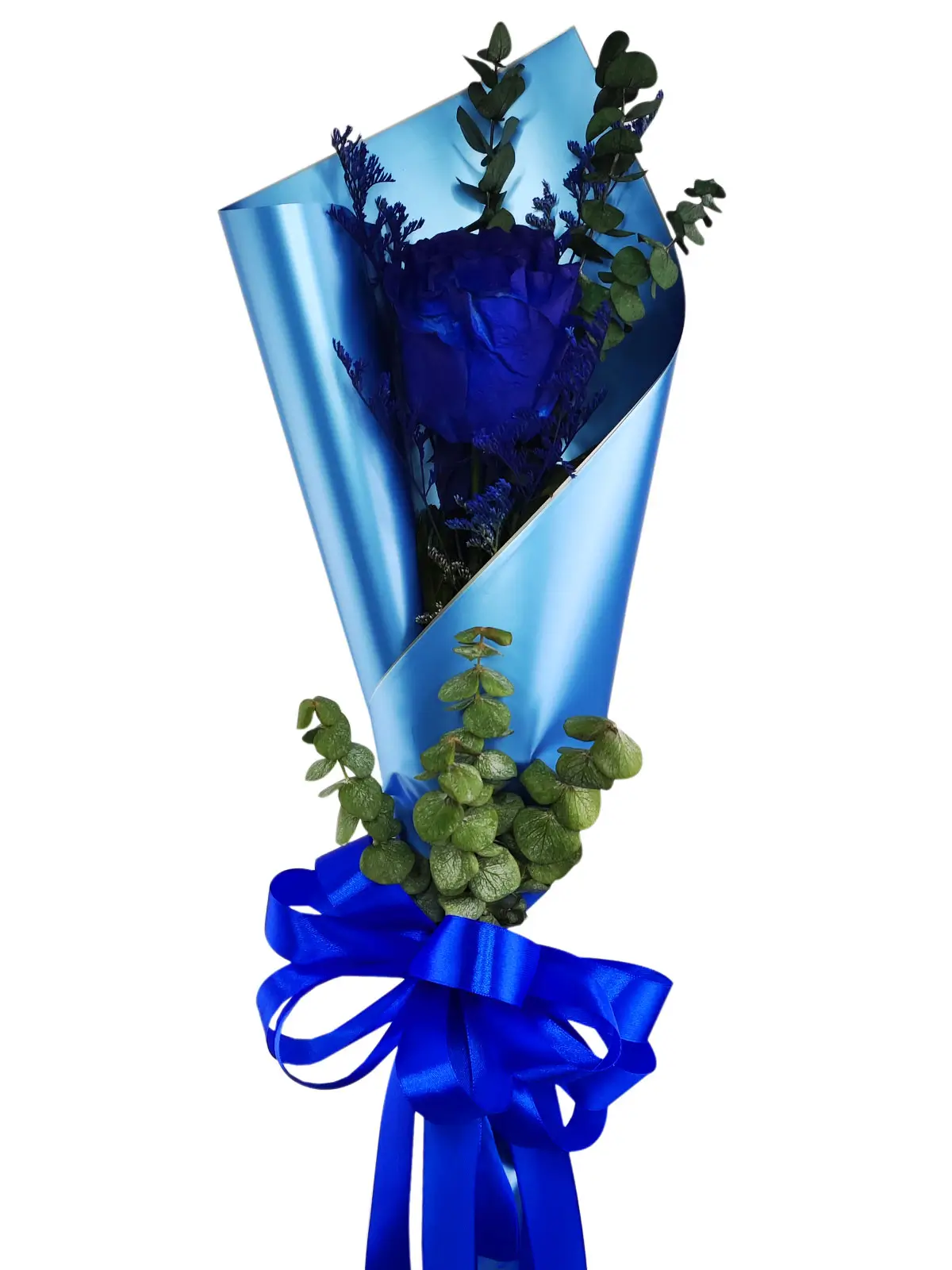 1 blue ecua blue/silver