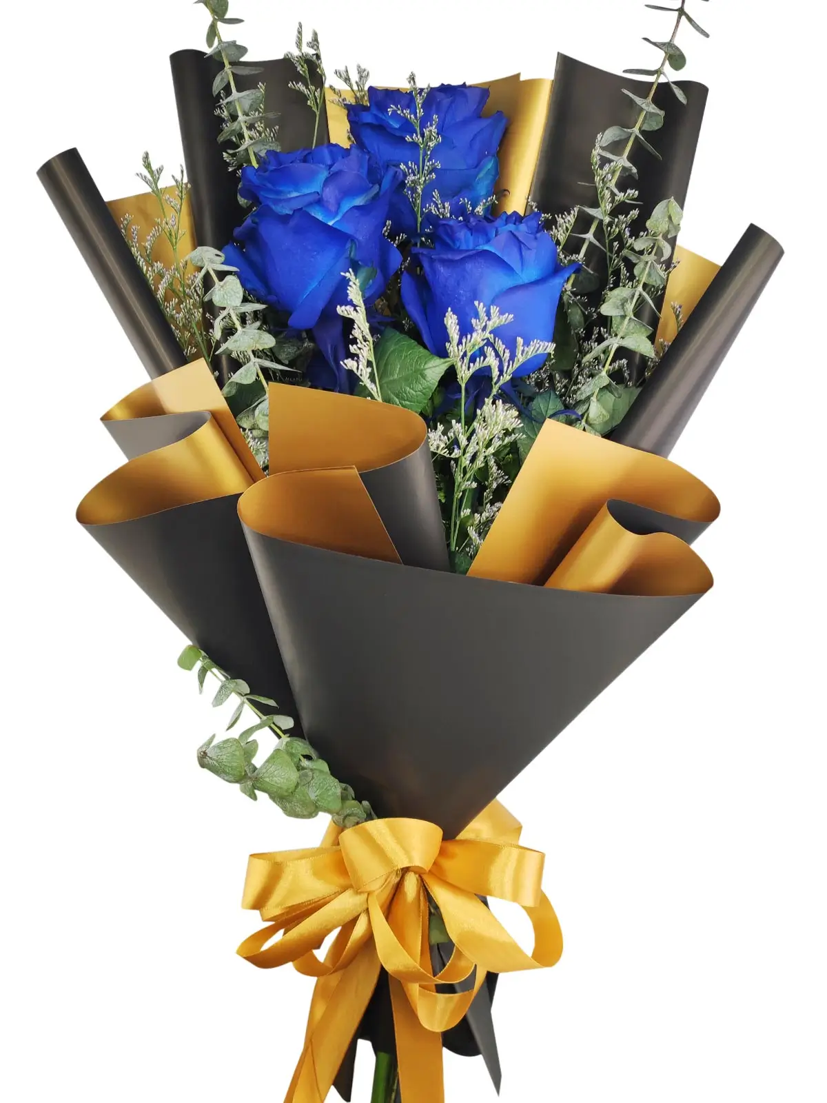 3 blue ecua black/gold