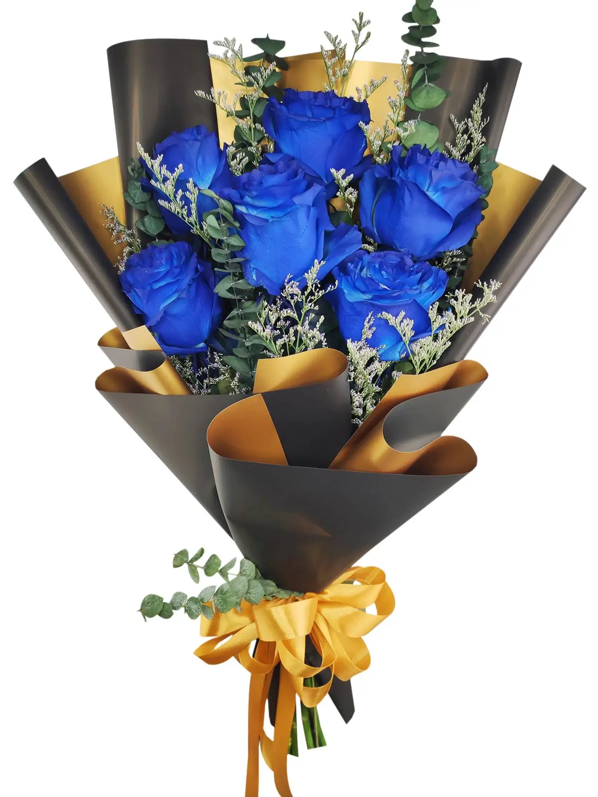 6 ecua blue black/gold