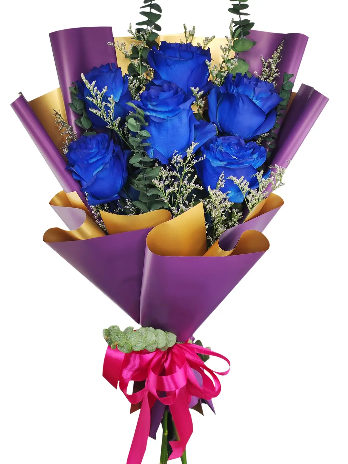 6 blue ecua purple/gold