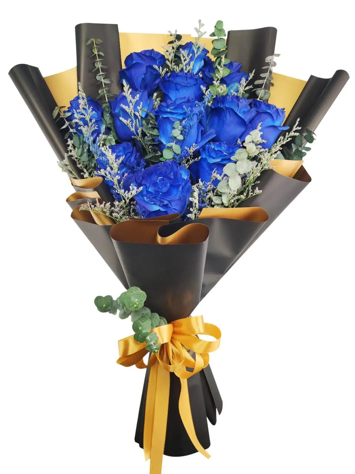 12 blue ecua black/gold