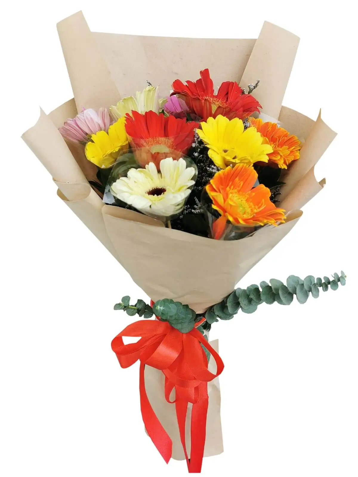 gerbera-blossoms