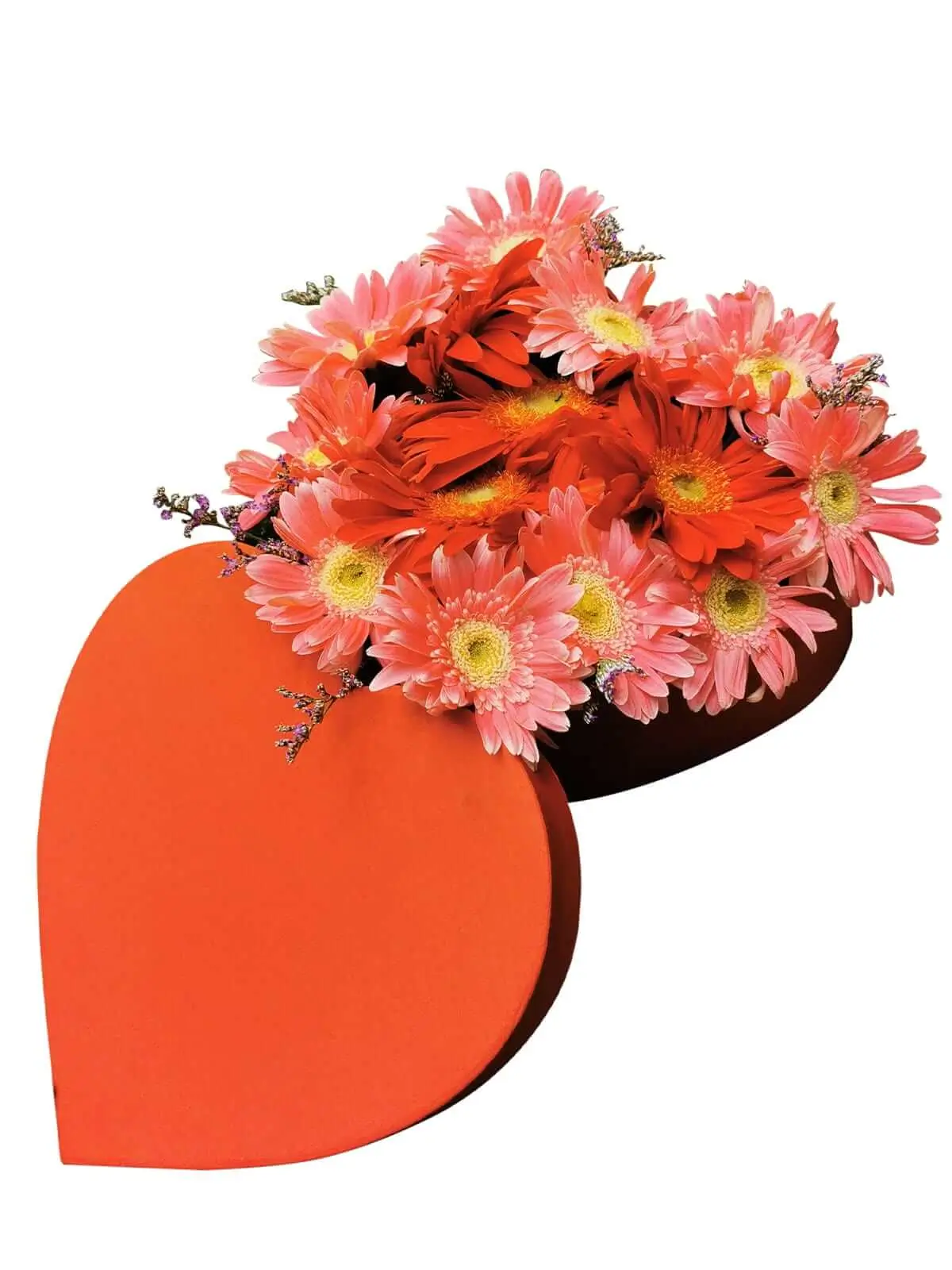 captivating-long-stem-gerbera