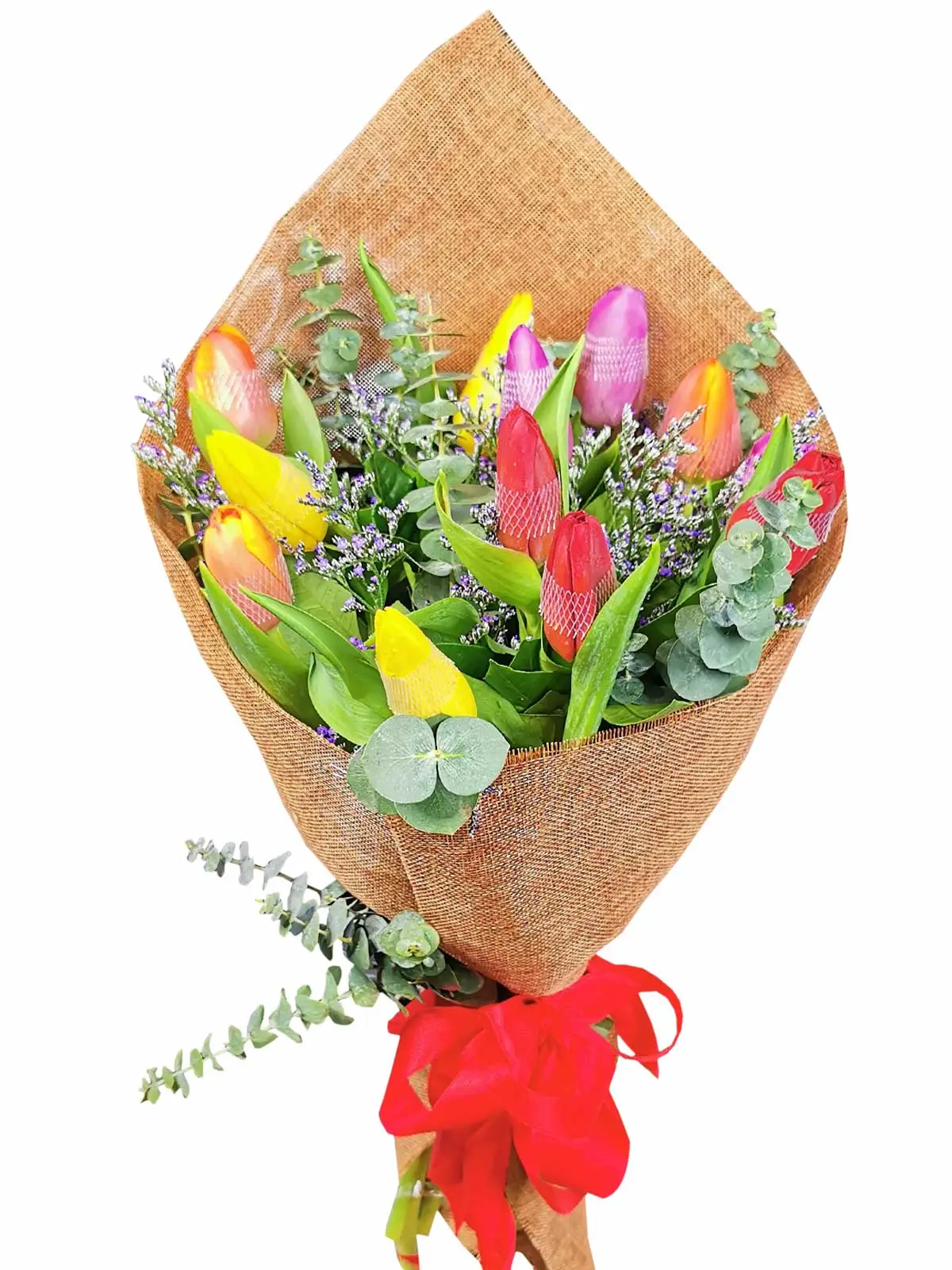 dear-little-tulips