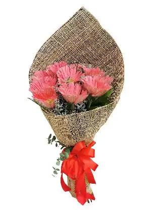 10 Fuschia Pink Gerbera Burlap ph