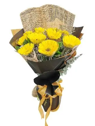10 YELLOW Gerbera y10-burlap-ph-bg