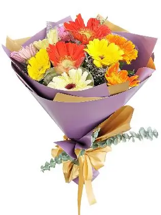MIX Gerbera Korean Purple Gold