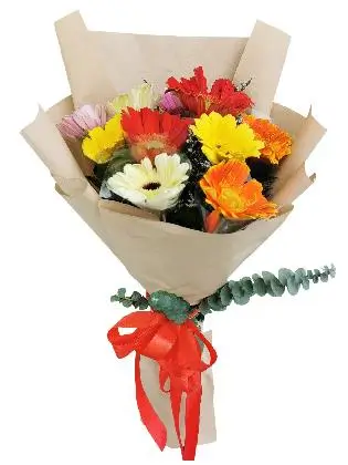 MIX Gerbera Kraft Paper