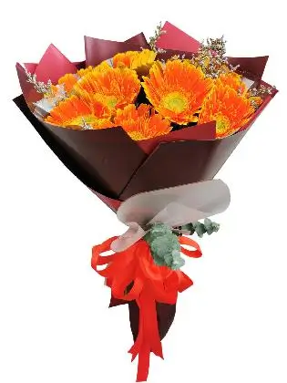 ORANGE Gerbera Korean Maroon White