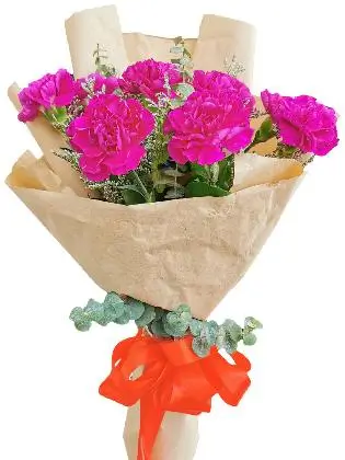 PURPLE Carnation Kraft Paper