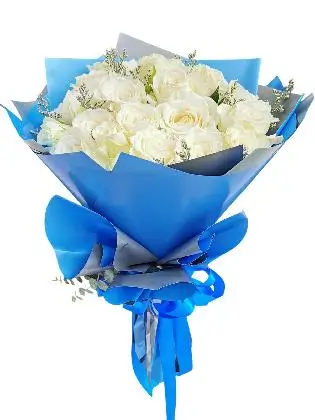 White Rose 24/36 Blue Silver