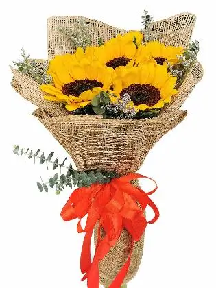 Sunflower Burlap ph 6