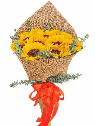 Sunflower Burlap ch 1/3
