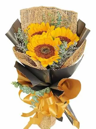 Sunflower Burlap BG 3