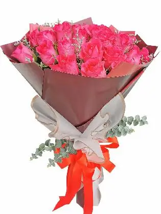 Pink Roses 24 Korean Maroon White