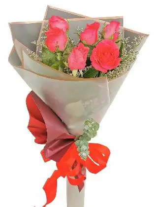 Pink roses 6 Korean White Maroon