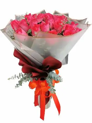 Pink Roses 24 Korean White Maroon