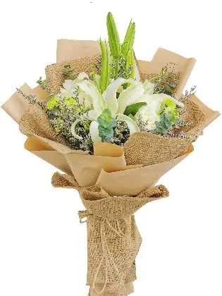Kraft Jute / Kraft