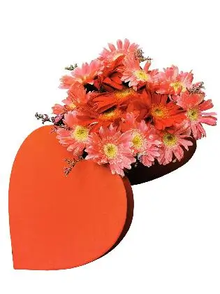 54 Mixed Gerbera Heart Love Box