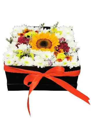 Sunflower Love Box 003