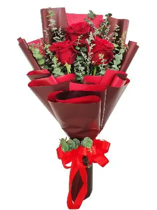 3 red ecua marroon