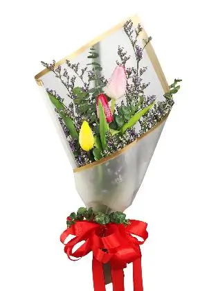 3 pink tulips white
