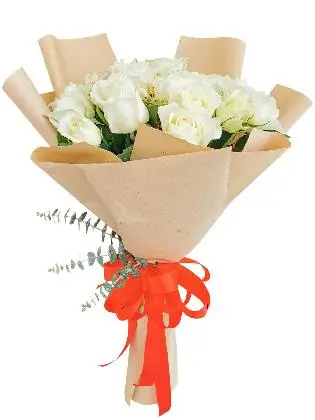 24 pcs white roses