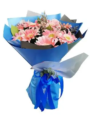 striking-gerbera