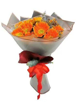 extraordinary-petals