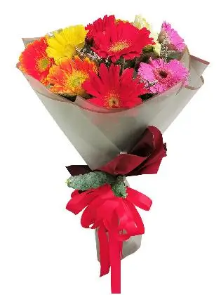 gorgeous-glowing-gerbera